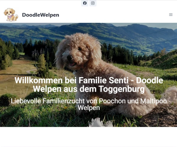 Weber IT-System – 7